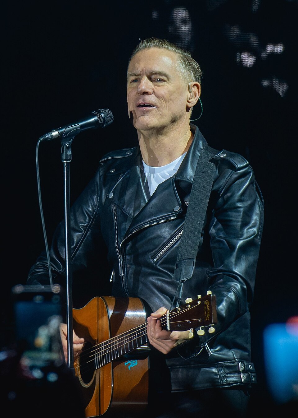 Crowd at a Bryan Adams show